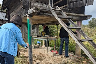 Tung oil research project „Tung oil research project”